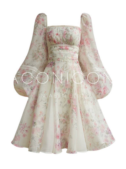 Aconiconi ｜Sweet Amelie Short Dress