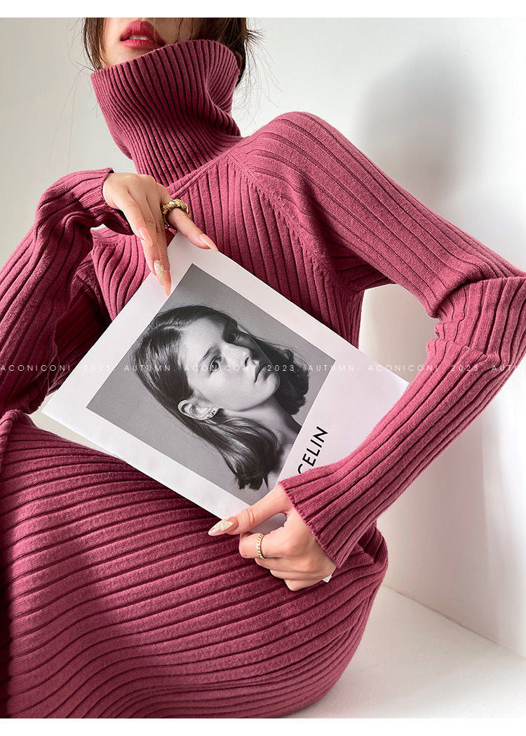 Aconiconi｜ Turtleneck and V-neck Knitted Long Slim Fit Dress