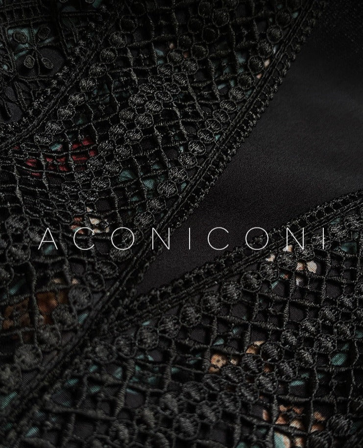 Aconiconi | Nighttime Rose French Retro Dress