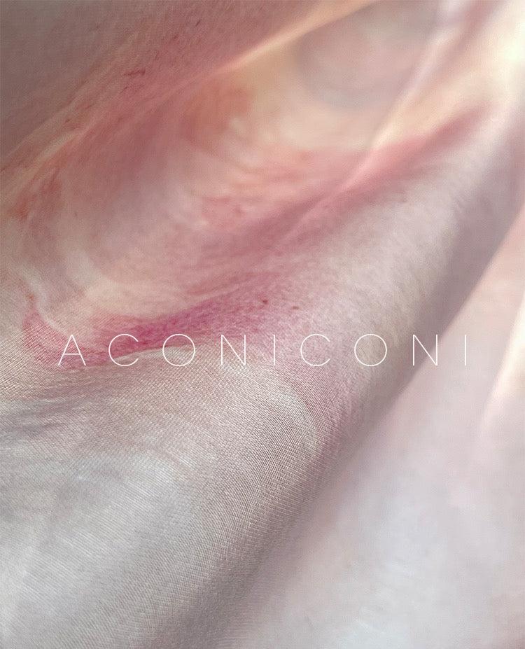 Aconiconi｜Enchanted Rose Retro Dress